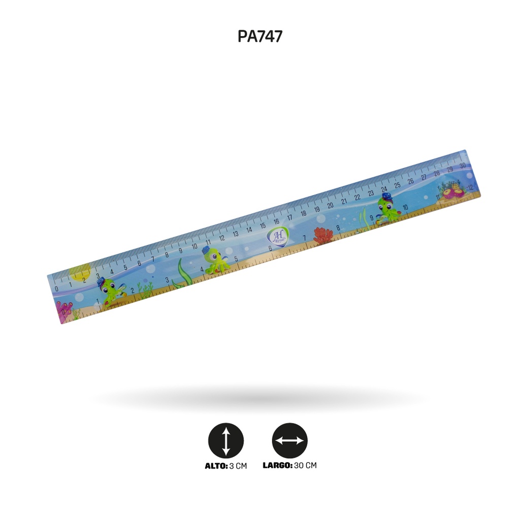 REGLA ESTAMPADA 30CM FINA[PAC3269]