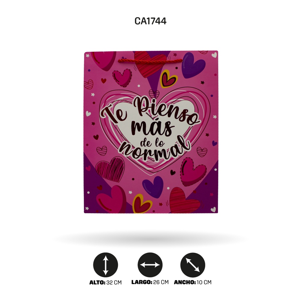 BOLSA REGALO 3D FELIZ DIA 4 MOTIVOS YM-2005-M 26x32x10 210grs[PAC5157]