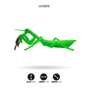 SET DE INSECTOS [FY-064S]