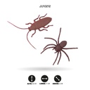 SET DE INSECTOS [FY-064S]