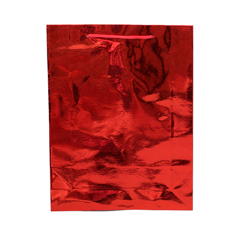 BOLSA DE REGALO HOLOGRAMADA GRANDE [PAC20647-147]