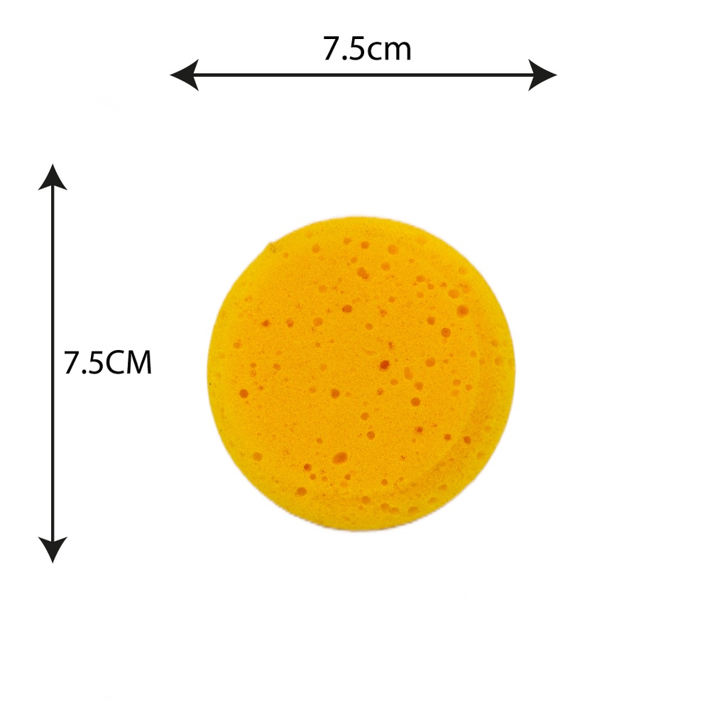 ESPUMA REDONDA POROSA 809-1 [PAC20183-121]