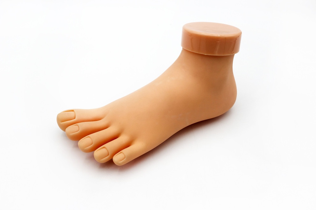 PIE DE PRACTICA 107 [PAC70508-3974]